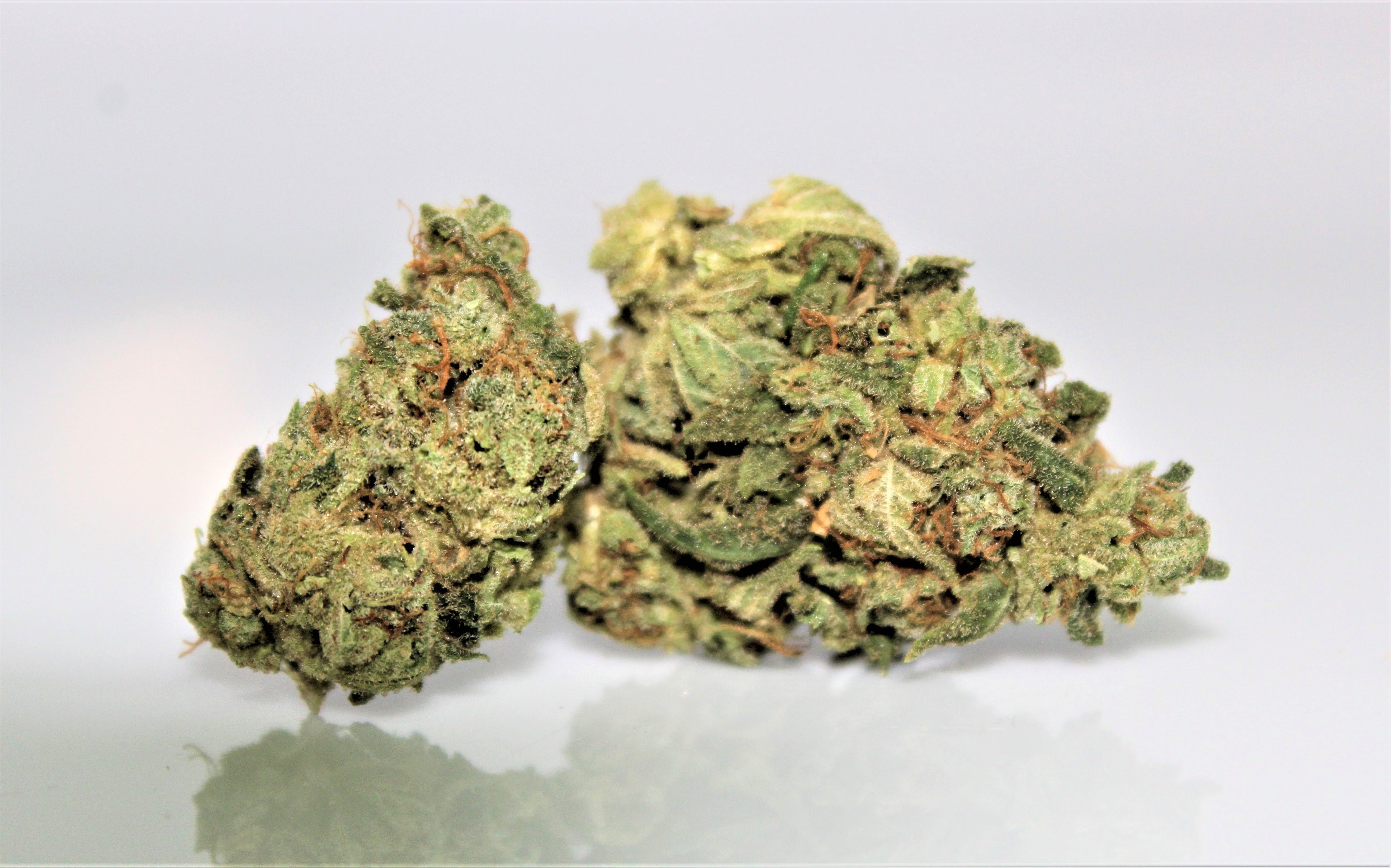 marijuana-dispensaries-the-agrestic-north-in-corvallis-rr-tight-dojo-h-16-1-25-thc