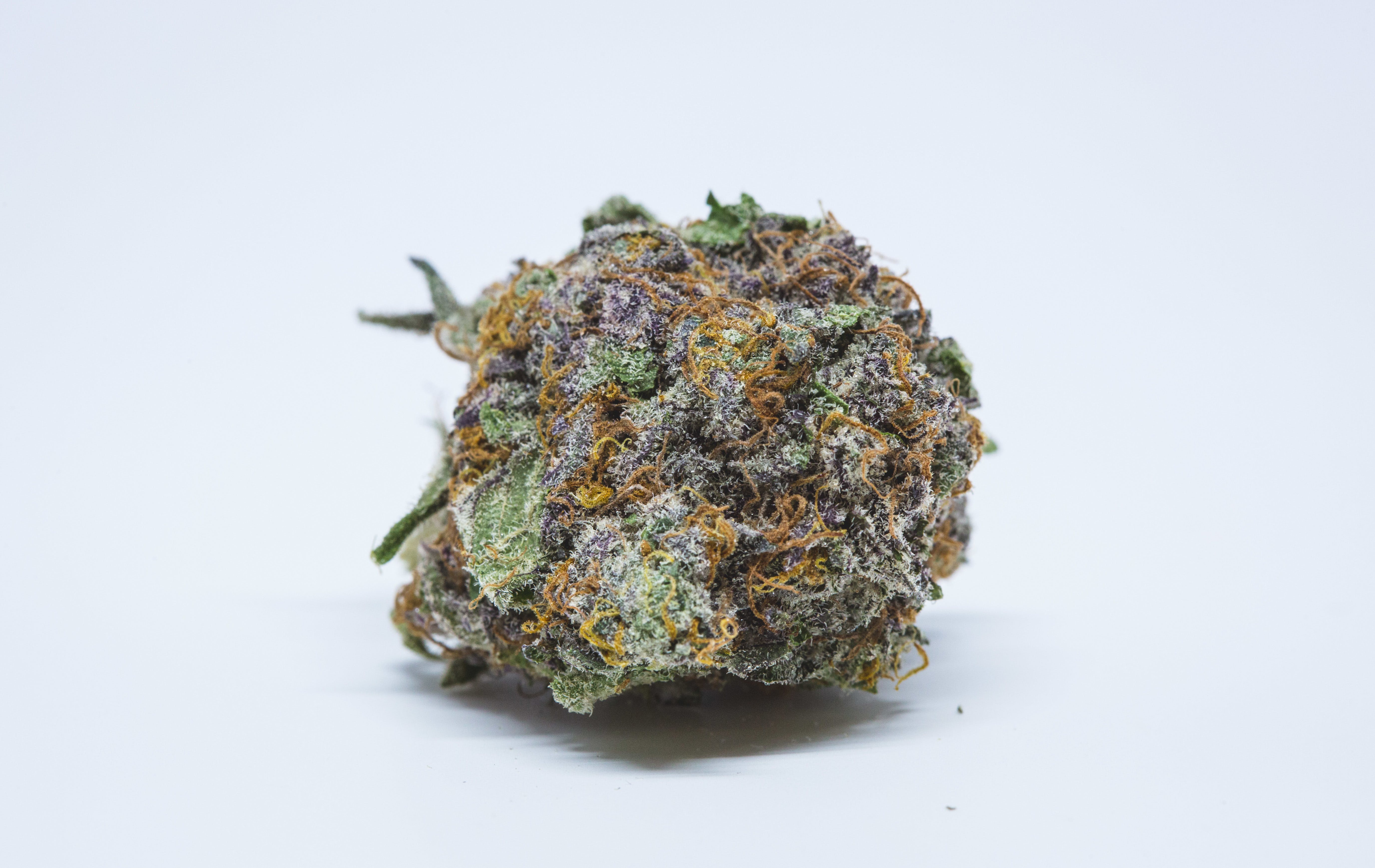 marijuana-dispensaries-tumbleweed-carbondale-in-carbondale-ruby-shine