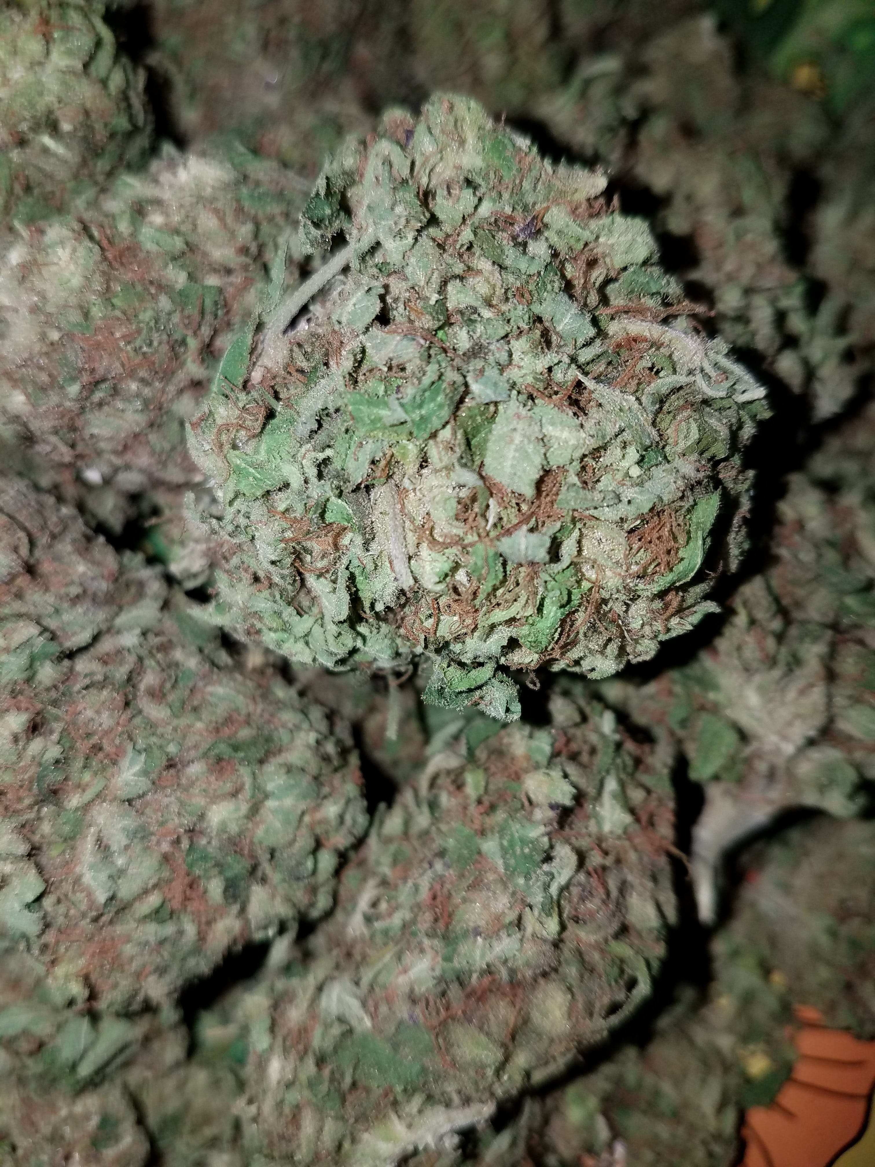 marijuana-dispensaries-mr-green-may-in-oklahoma-city-samoa-kush