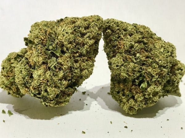 marijuana-dispensaries-4845-van-gordon-st-wheat-ridge-samoas