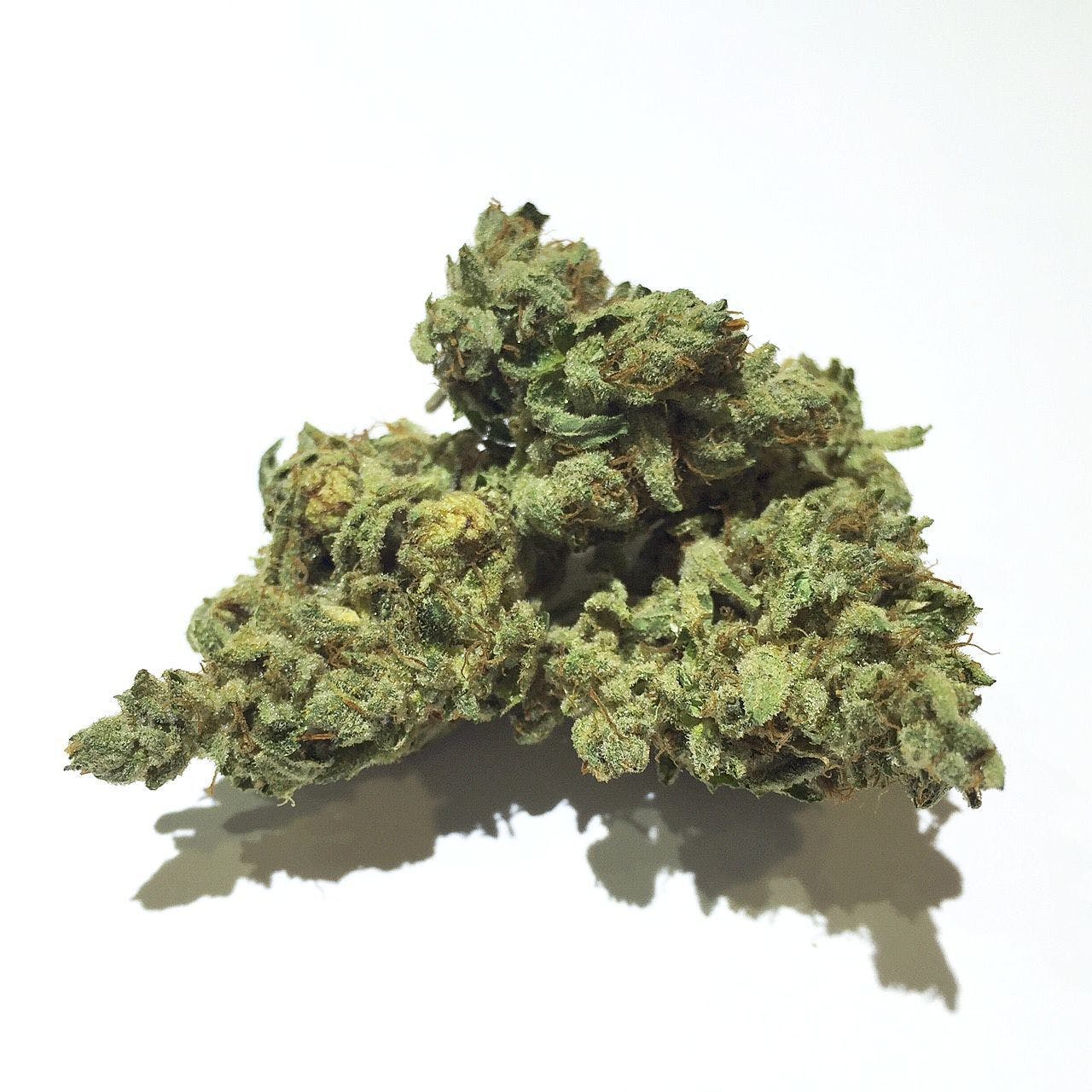 marijuana-dispensaries-19709-ventura-blvd-unit-103-woodland-hills-samurai-og-10g-for-24110