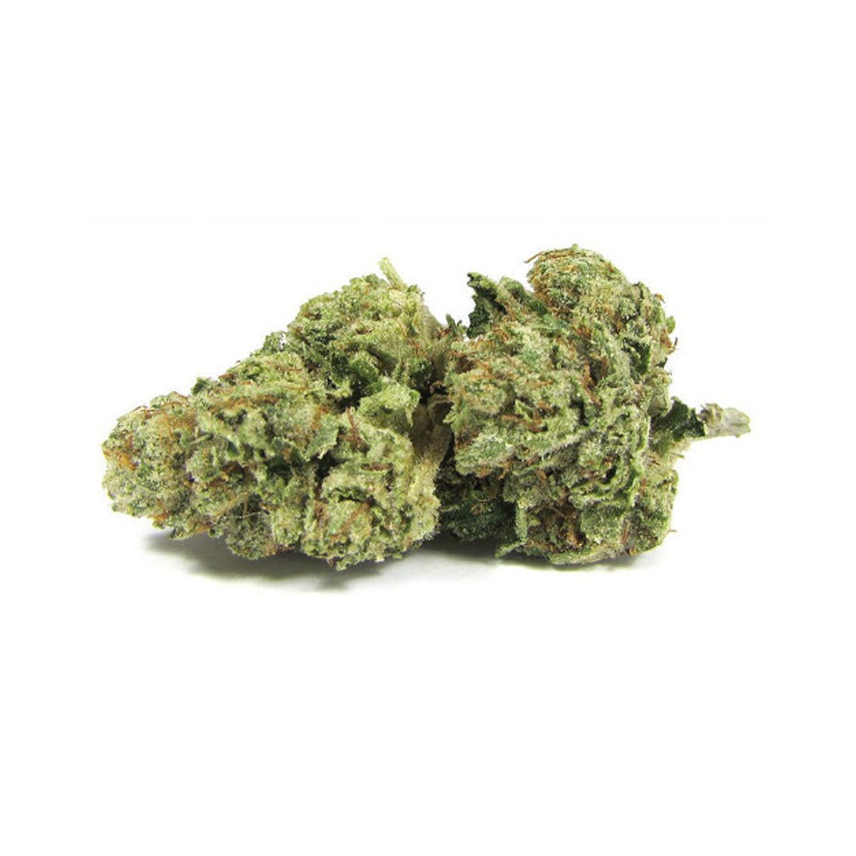 marijuana-dispensaries-752-north-lake-ave-pasadena-san-fernando-valley-og-kush