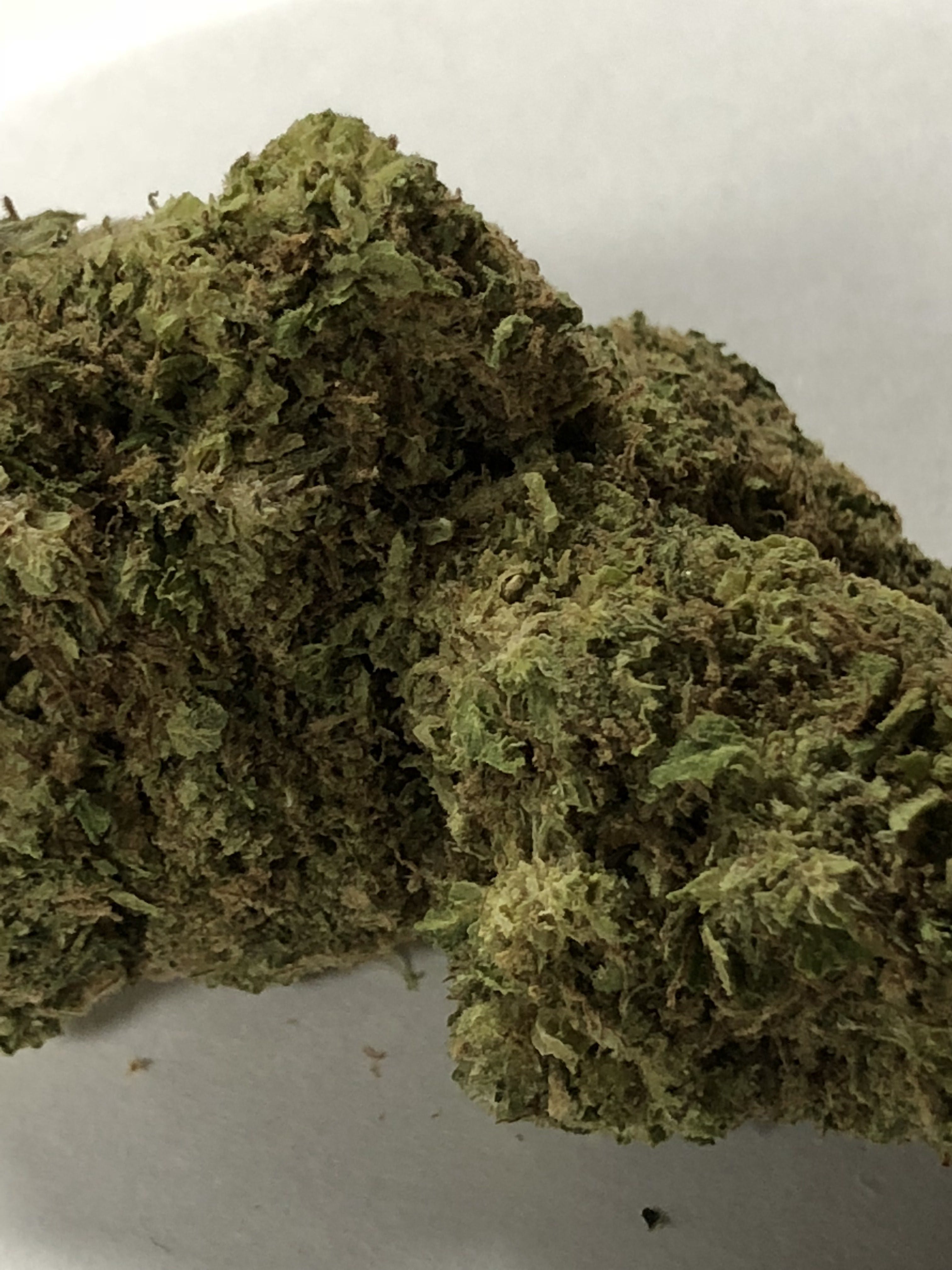 marijuana-dispensaries-the-green-herb-in-ponca-city-san-fernando-valley