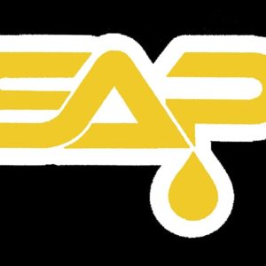 SAP Caps (2-pk)
