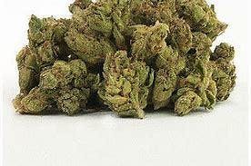 marijuana-dispensaries-harbor-high-meds-in-wilmington-sativa-littles