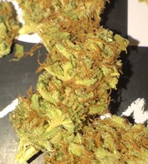 marijuana-dispensaries-maribis-of-chicago-in-chicago-sccs-sweet-pea