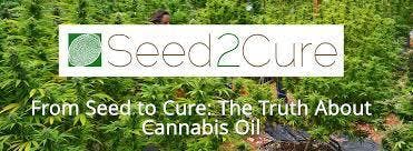 Seed 2 Cure