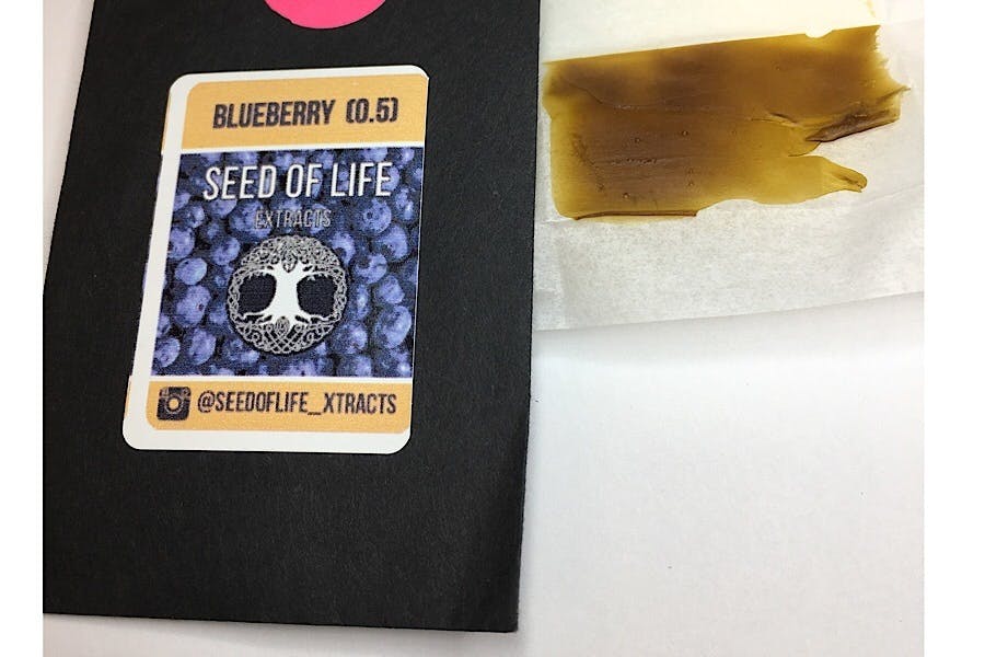 wax-seed-of-life-extracts-blueberry