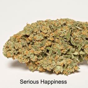 hybrid-serious-happiness