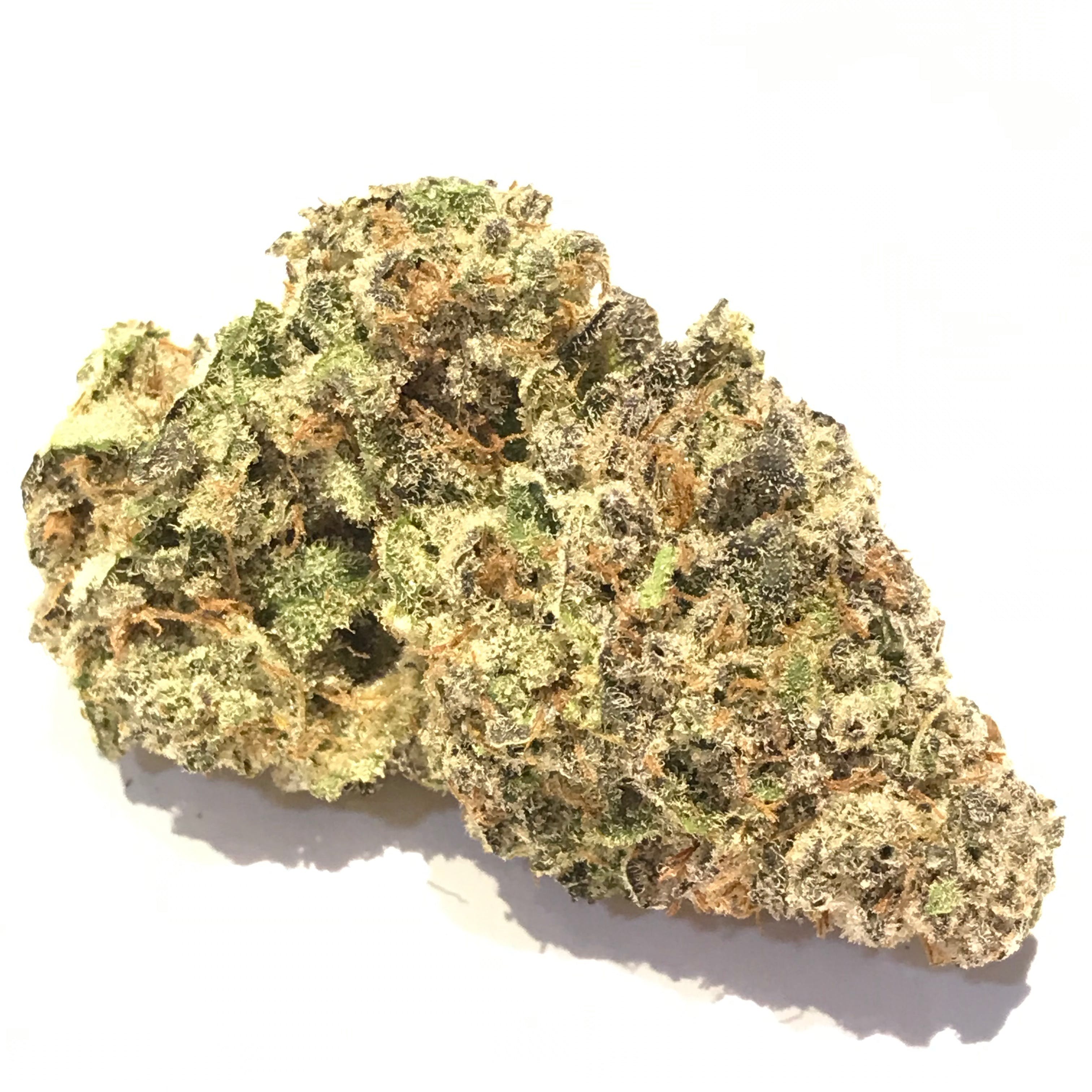 SF Cultivators: Cherry Punch