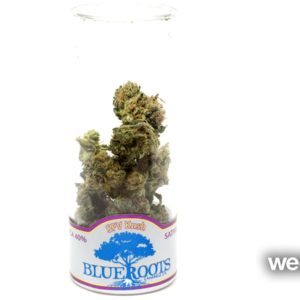 Sfv Kush by Blue Roots
