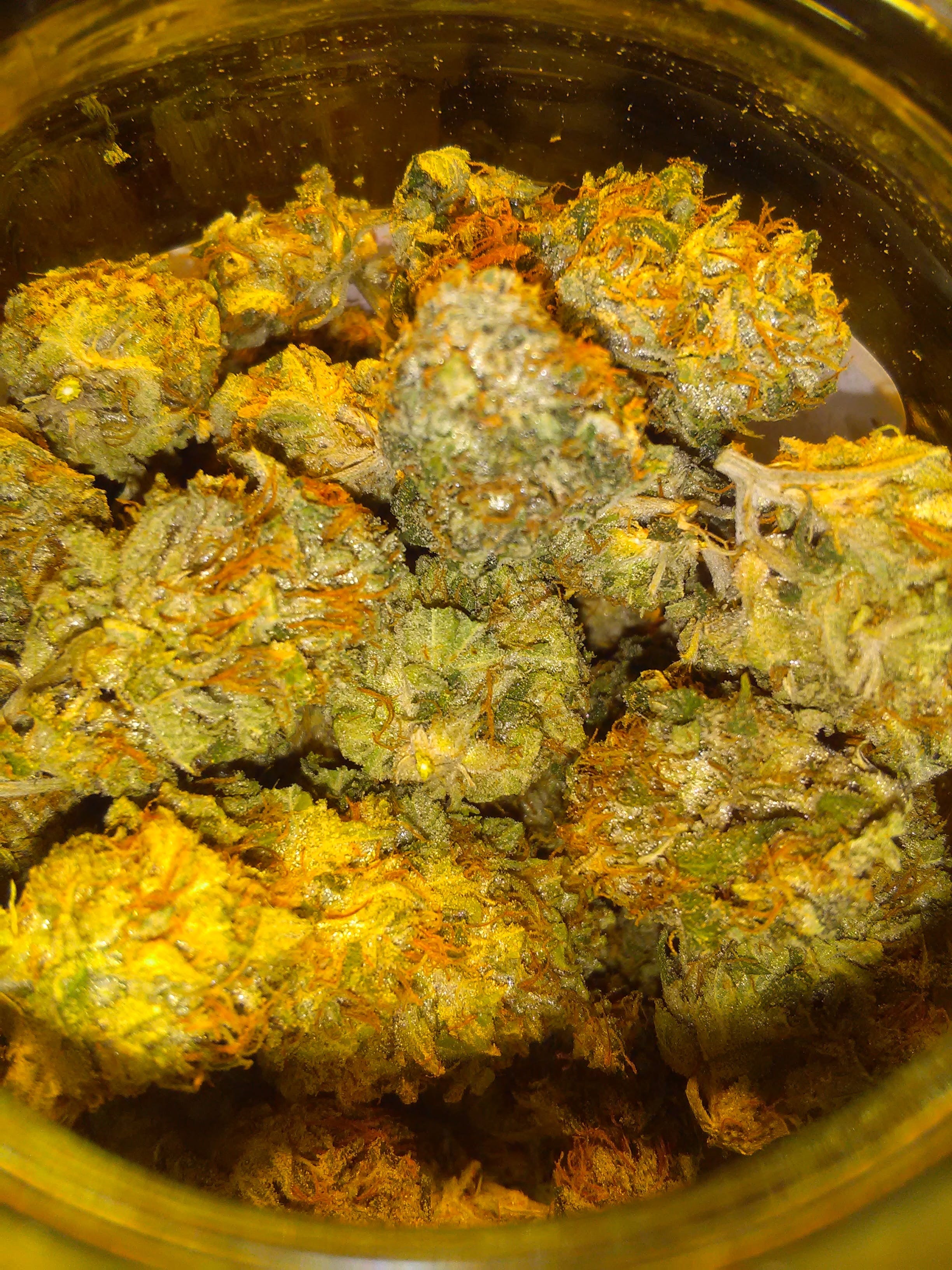 marijuana-dispensaries-kind-brothers-in-bakersfield-sfv-o-g