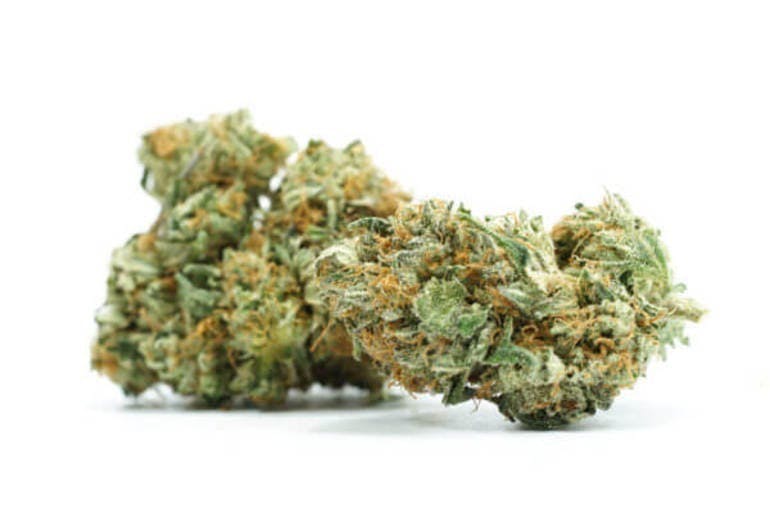 marijuana-dispensaries-118-george-st-hamilton-sfv-og-kush-by-cdh-genetics