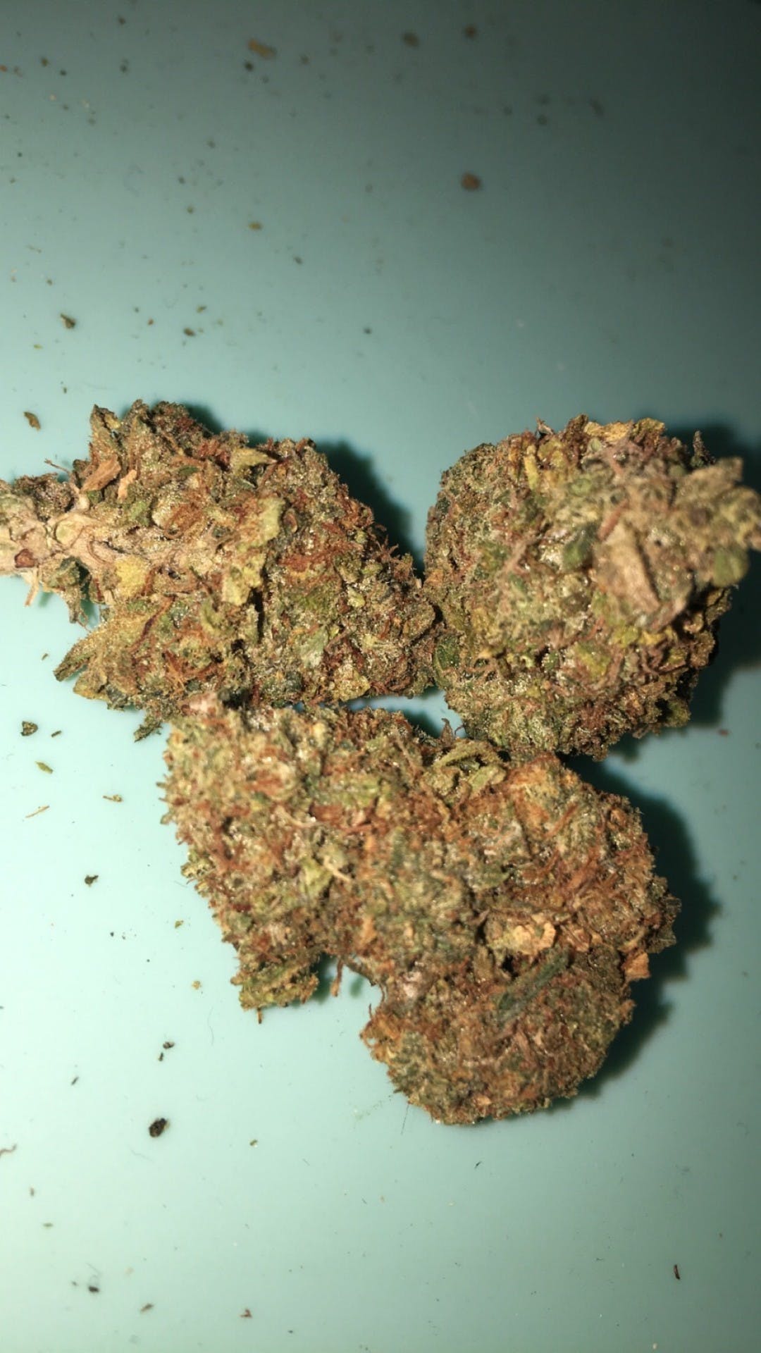 marijuana-dispensaries-green-lady-24-hours-in-chula-vista-sfv-og-kush