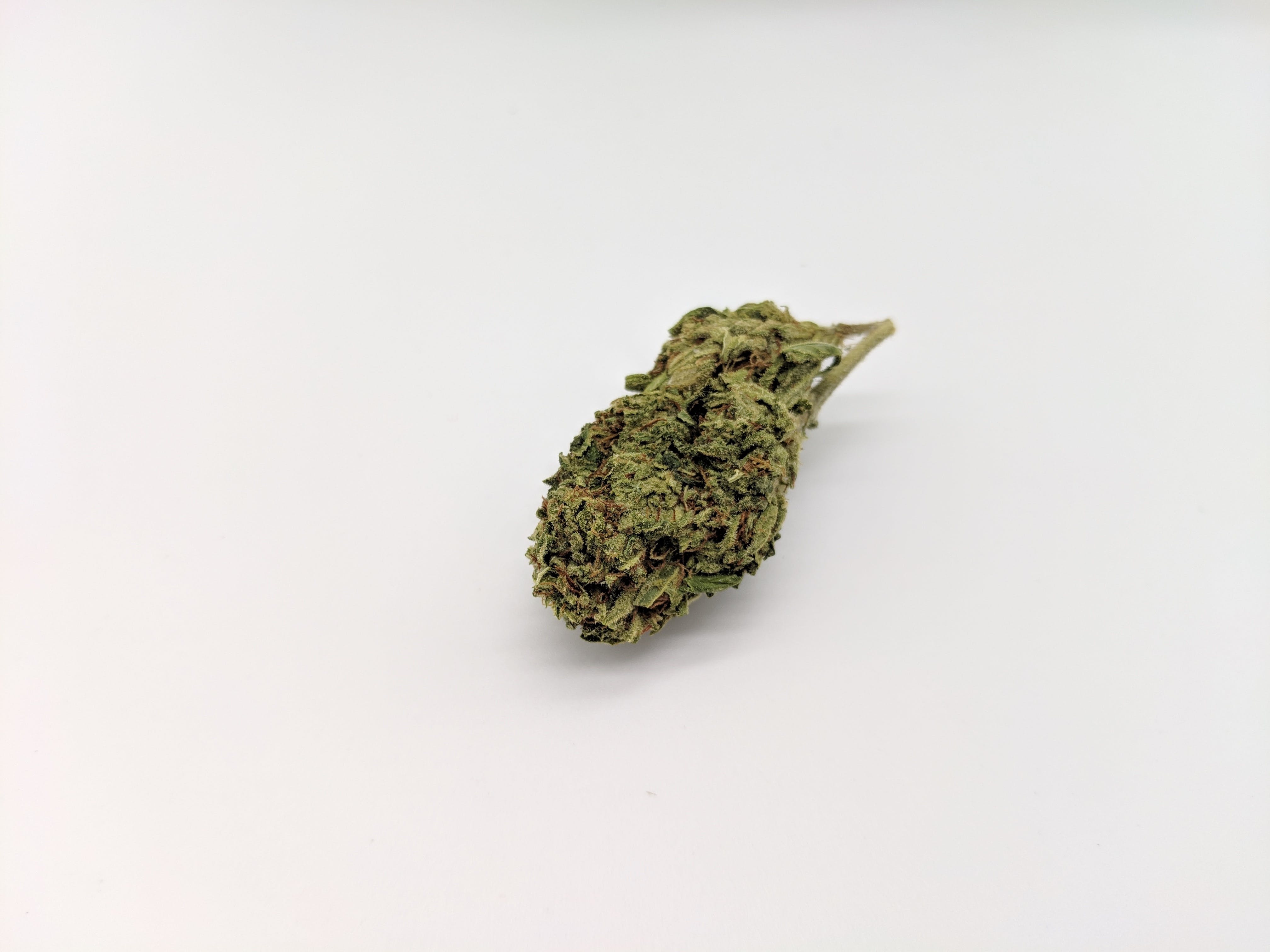 marijuana-dispensaries-437-west-broadway-muskogee-shady-580