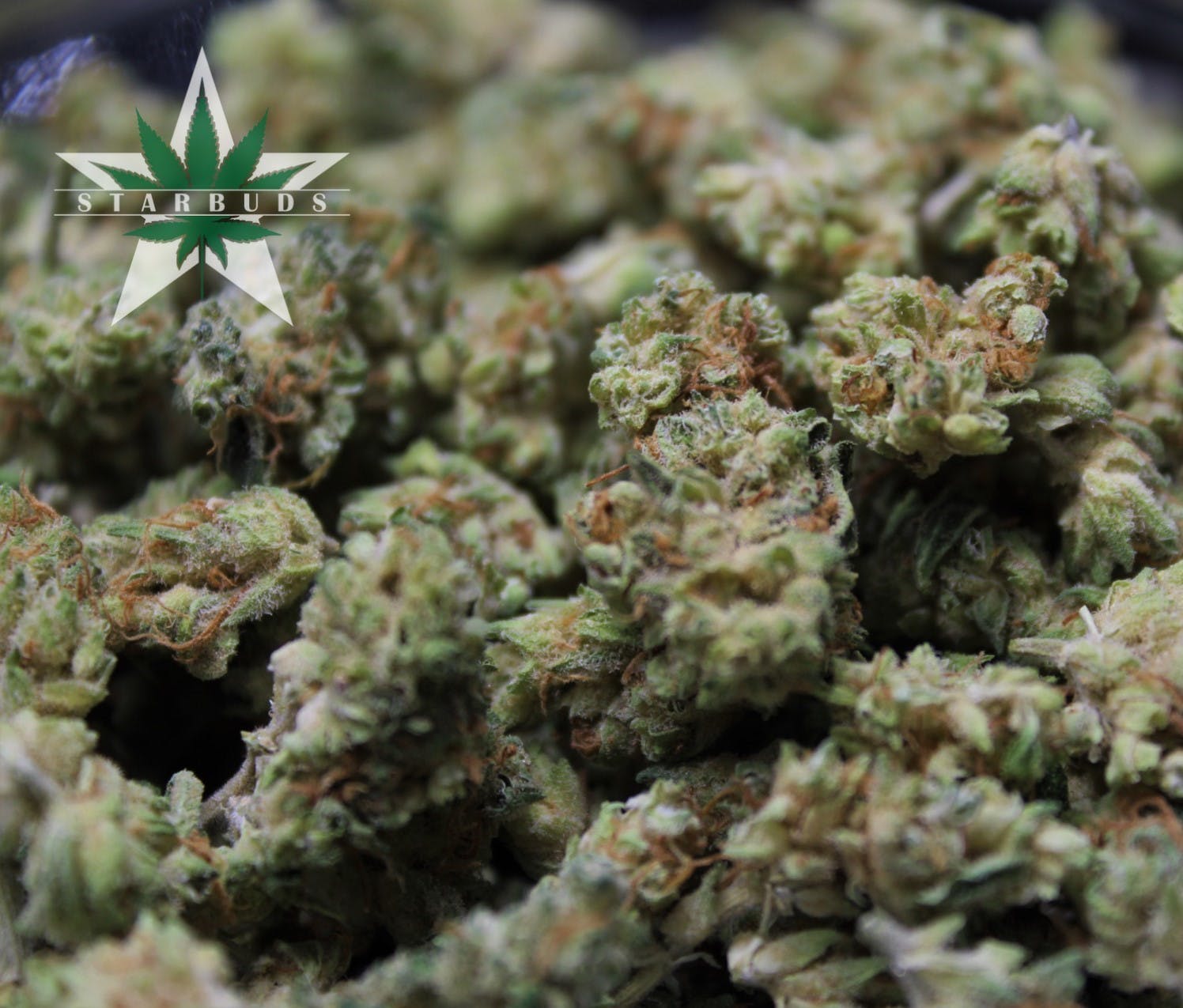 marijuana-dispensaries-5975-belair-rd-baltimore-shake-agent-orange