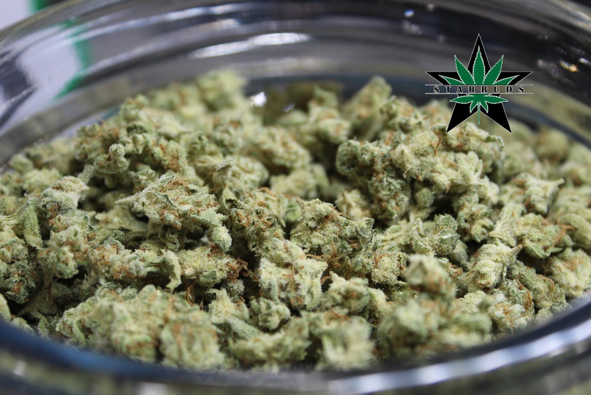 marijuana-dispensaries-5975-belair-rd-baltimore-shake-mr-clean
