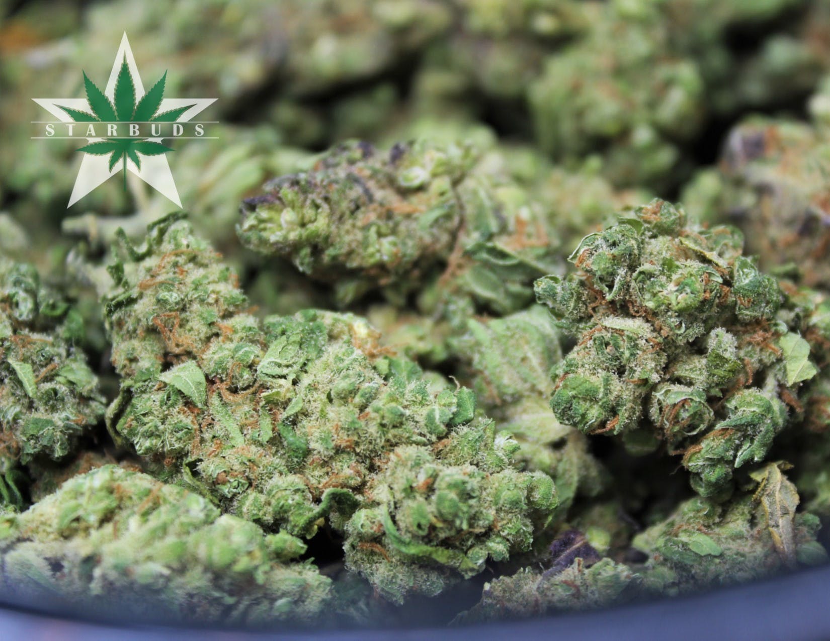 marijuana-dispensaries-5975-belair-rd-baltimore-shake-pennywise