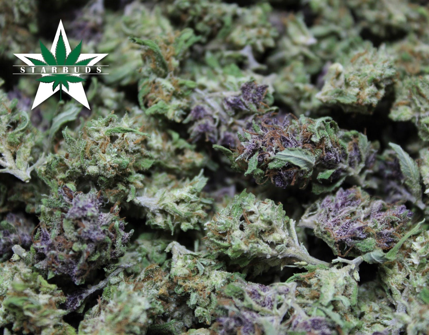 marijuana-dispensaries-5975-belair-rd-baltimore-shake-purple-malawi
