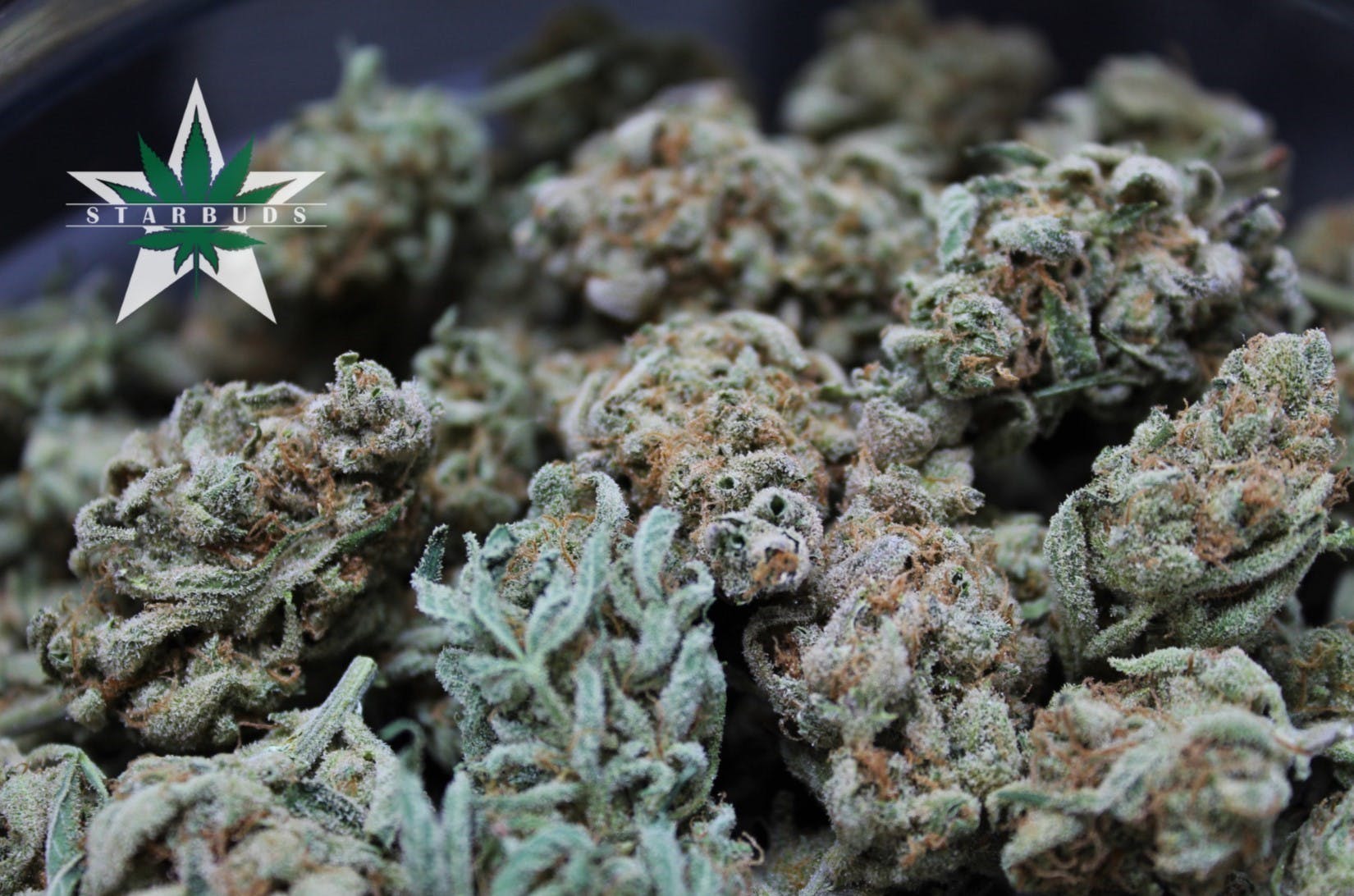 marijuana-dispensaries-5975-belair-rd-baltimore-shake-strawberry-fields