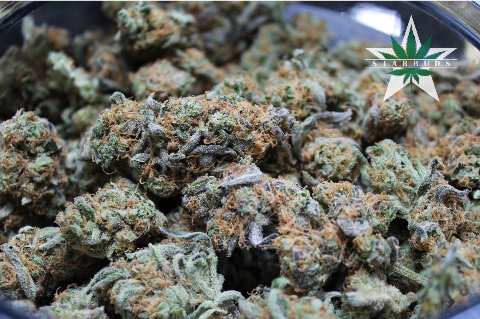 marijuana-dispensaries-5975-belair-rd-baltimore-shake-tangie