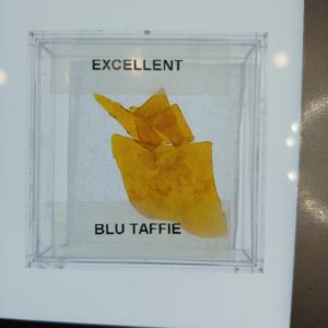 Shatter- Blu Taffie