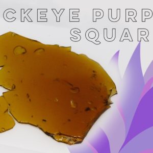 Shatter - Buckeye Purple Squared - from OG Clear