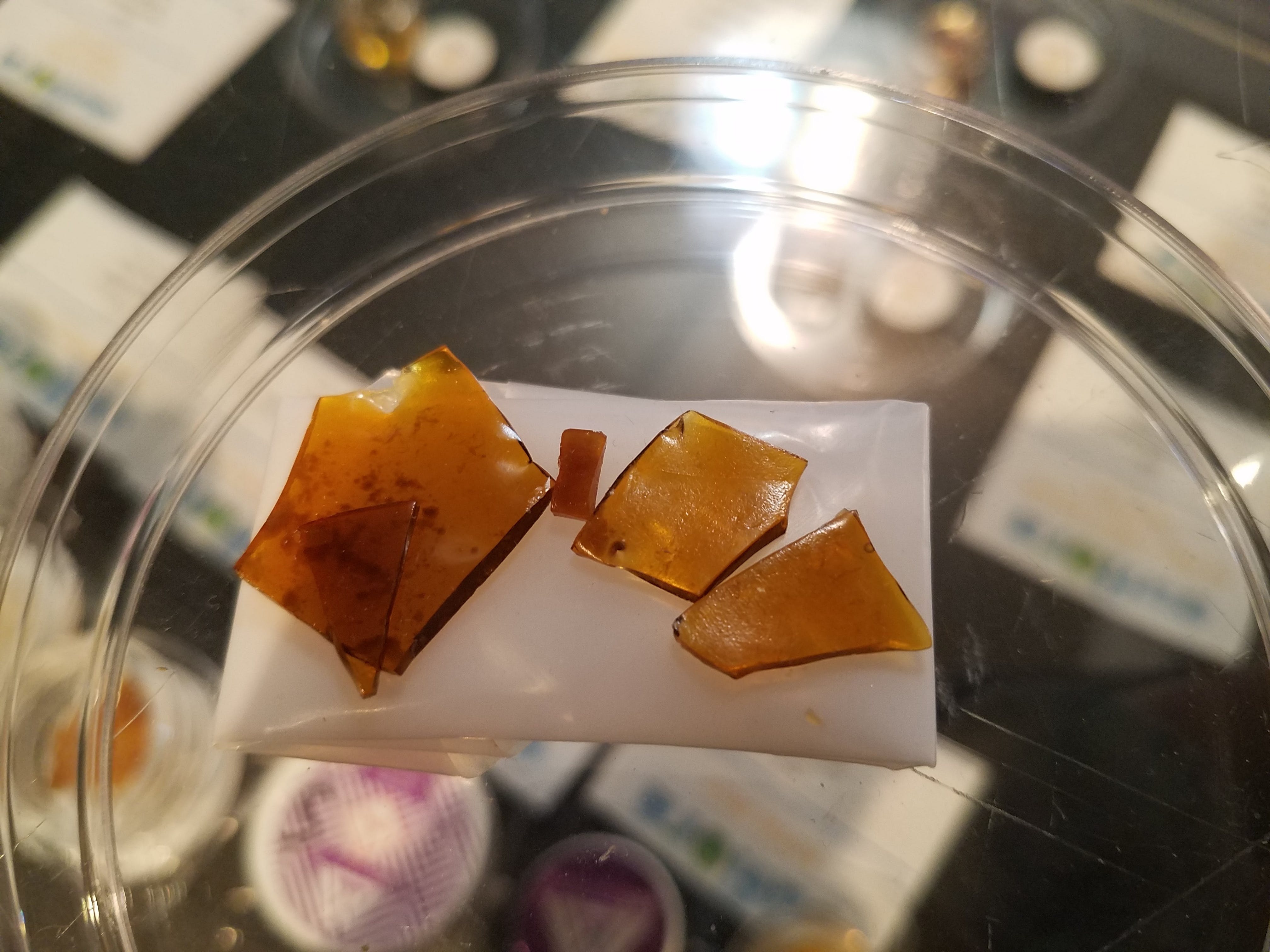 concentrate-shatter-cheetah-ungawa-hybrid