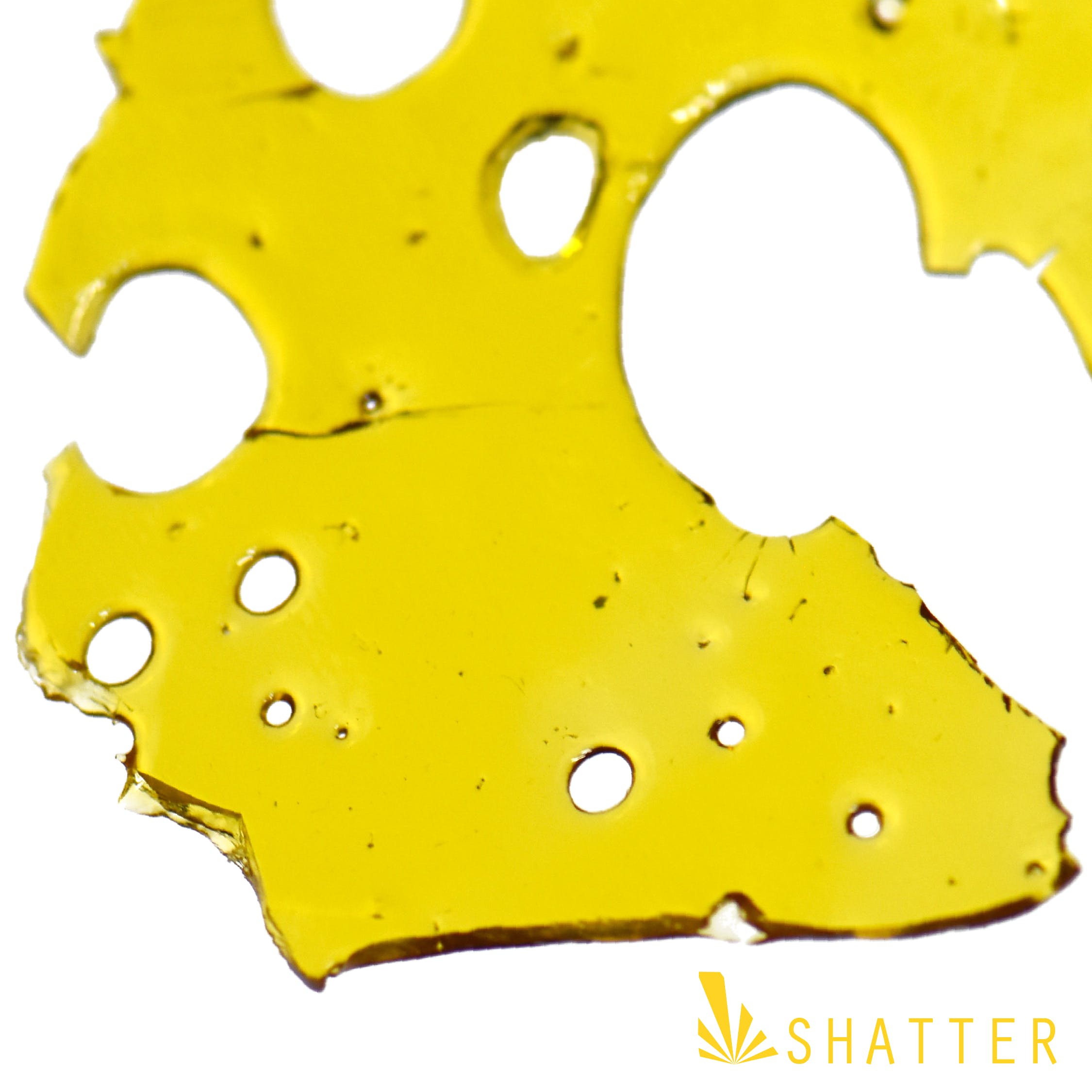 Shatter - Road Dawg