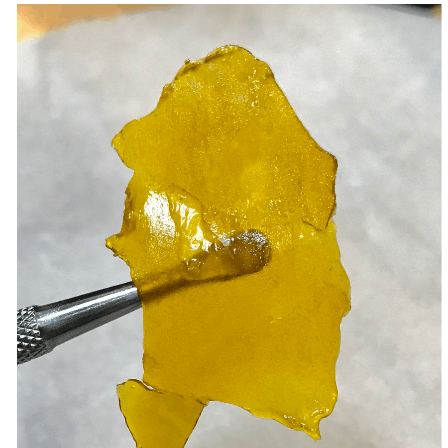 concentrate-shatter-shaman-dog