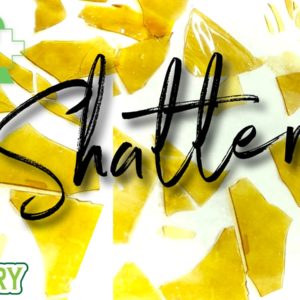 Shatter Strain: subject to availability