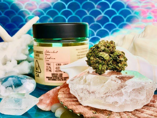 marijuana-dispensaries-22775-pacific-coast-highway-malibu-sherbet-from-henrys-original-of-mendocino-county