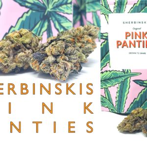 Sherbinski's Pink Panties