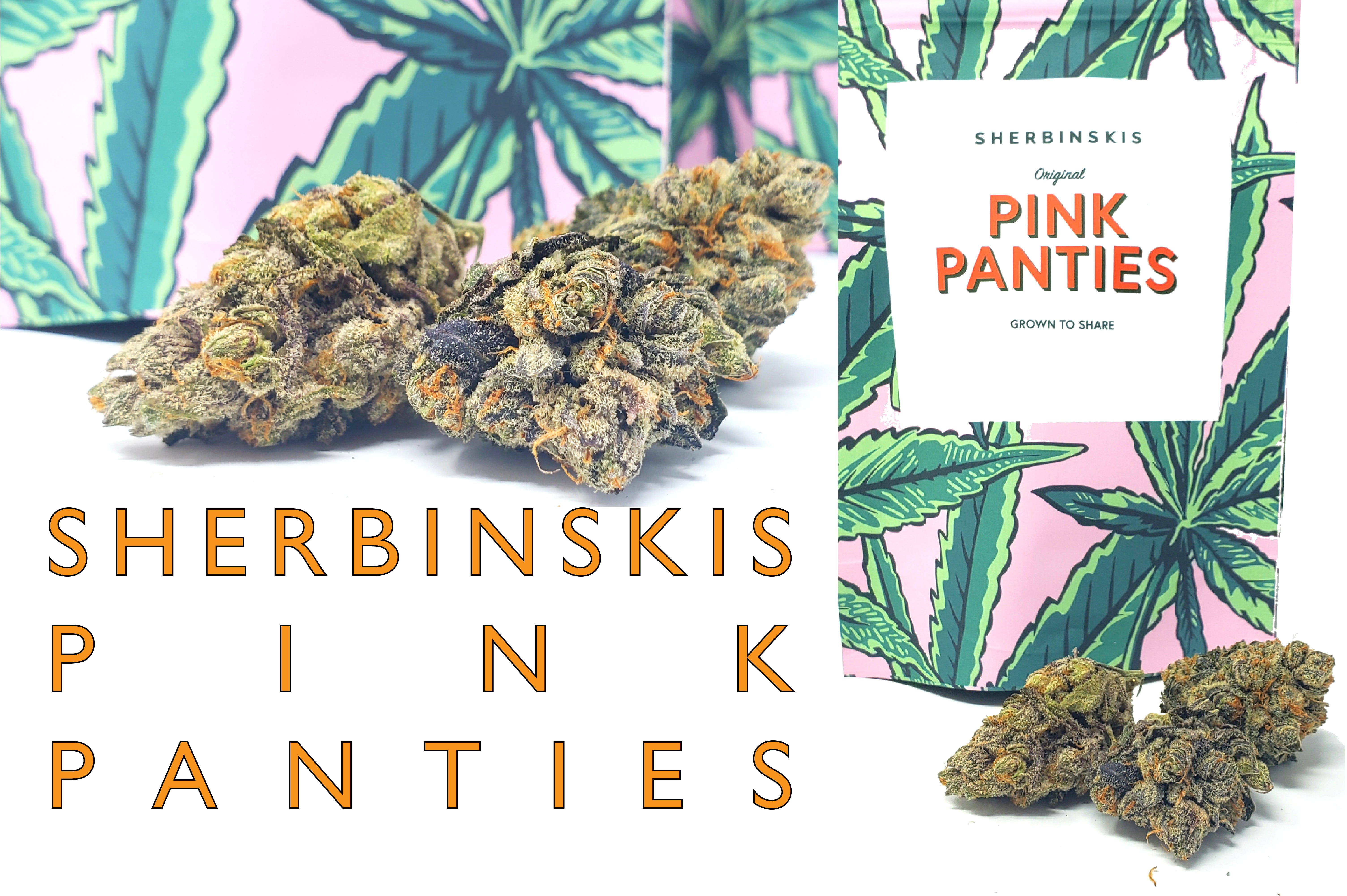 Sherbinskis Pink Panties