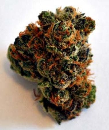 marijuana-dispensaries-3019-toupal-drive-trinidad-shortbread-indica-28-20-25