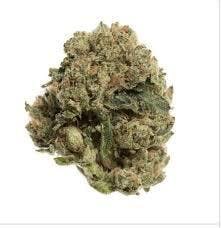 marijuana-dispensaries-5745-peladeau-street-emeryville-shotwell-og-3-5g-native-tree-farms
