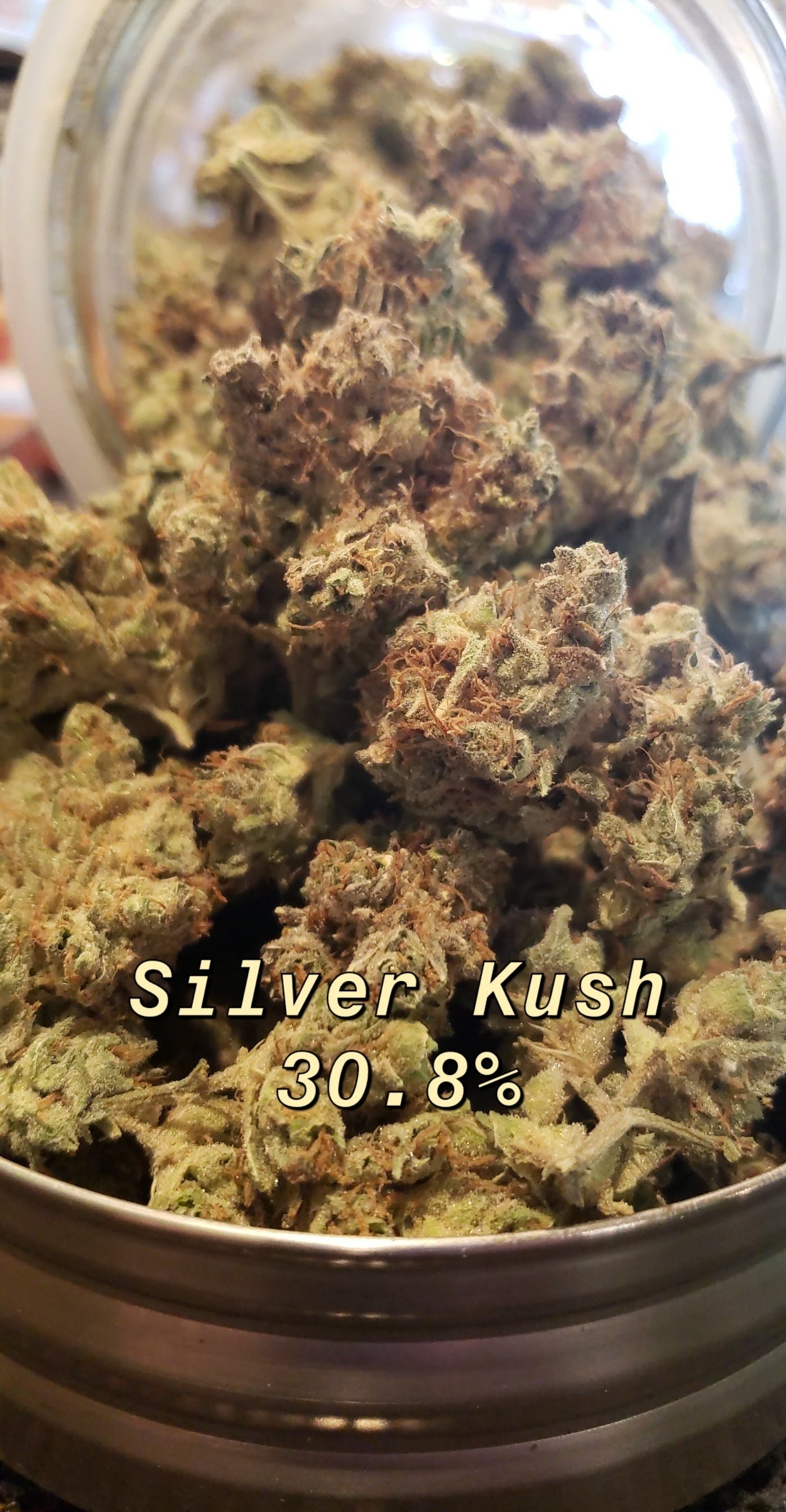 marijuana-dispensaries-466-west-main-st-trinidad-silver-kush-30-8-25