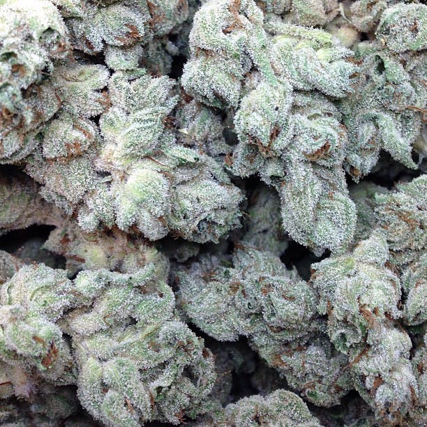 marijuana-dispensaries-2301-7th-street-denver-silver-shelf-double-bubbleberry