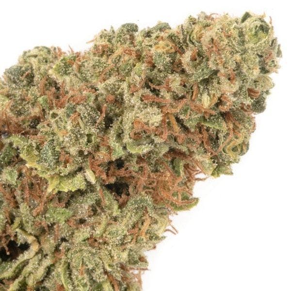 marijuana-dispensaries-2301-7th-street-denver-silver-shelf-lemon-hash-sour-diesel