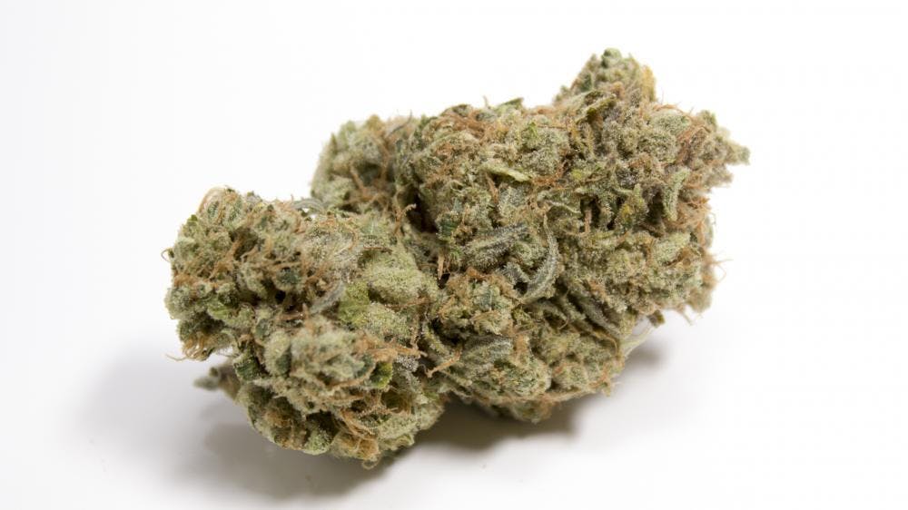 marijuana-dispensaries-4845-van-gordon-st-wheat-ridge-silver-summit-popcorn-buds-tax-included