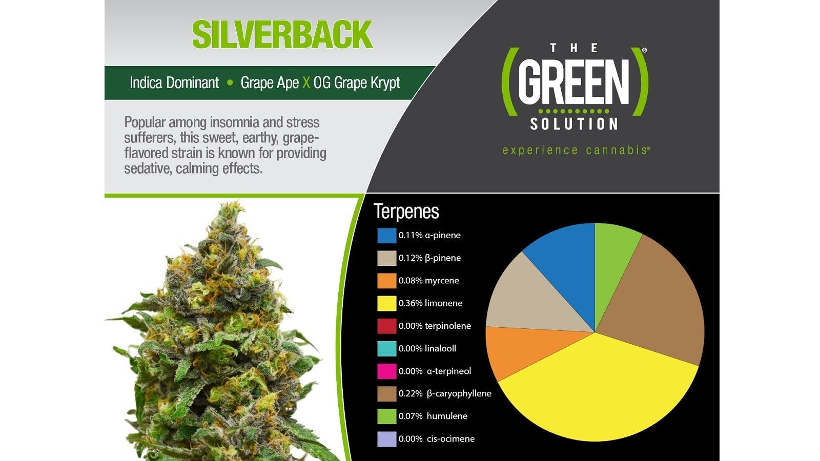 marijuana-dispensaries-the-green-solution-sheridan-in-sheridan-silverback