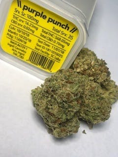 Simply Cannabis - Purple Punch