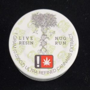 Sin Mint by Oregon Genetics