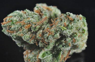marijuana-dispensaries-6700-lookout-road-suite-5-boulder-2c-co-80301-boulder-skelly-x-legend
