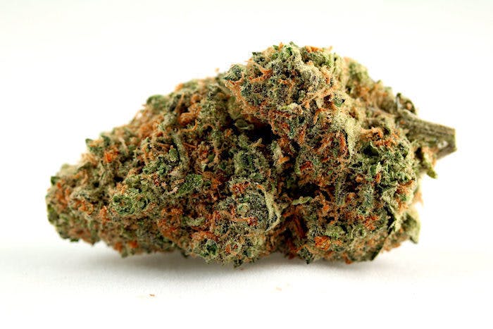 marijuana-dispensaries-the-verdes-foundation-in-albuquerque-skunk-231