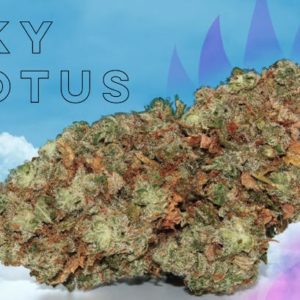Sky Lotus - from Shore Natural Rx
