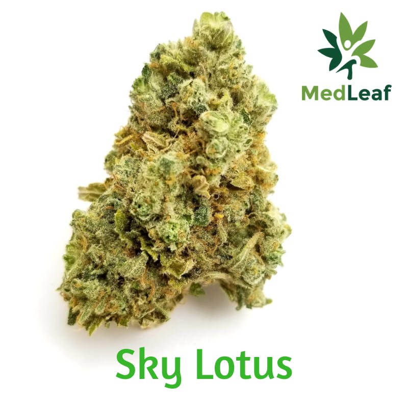 marijuana-dispensaries-9520-marlboro-pike-2c-unit-103-upper-marlboro-sky-lotus-shore-natural-rx-24-89-25