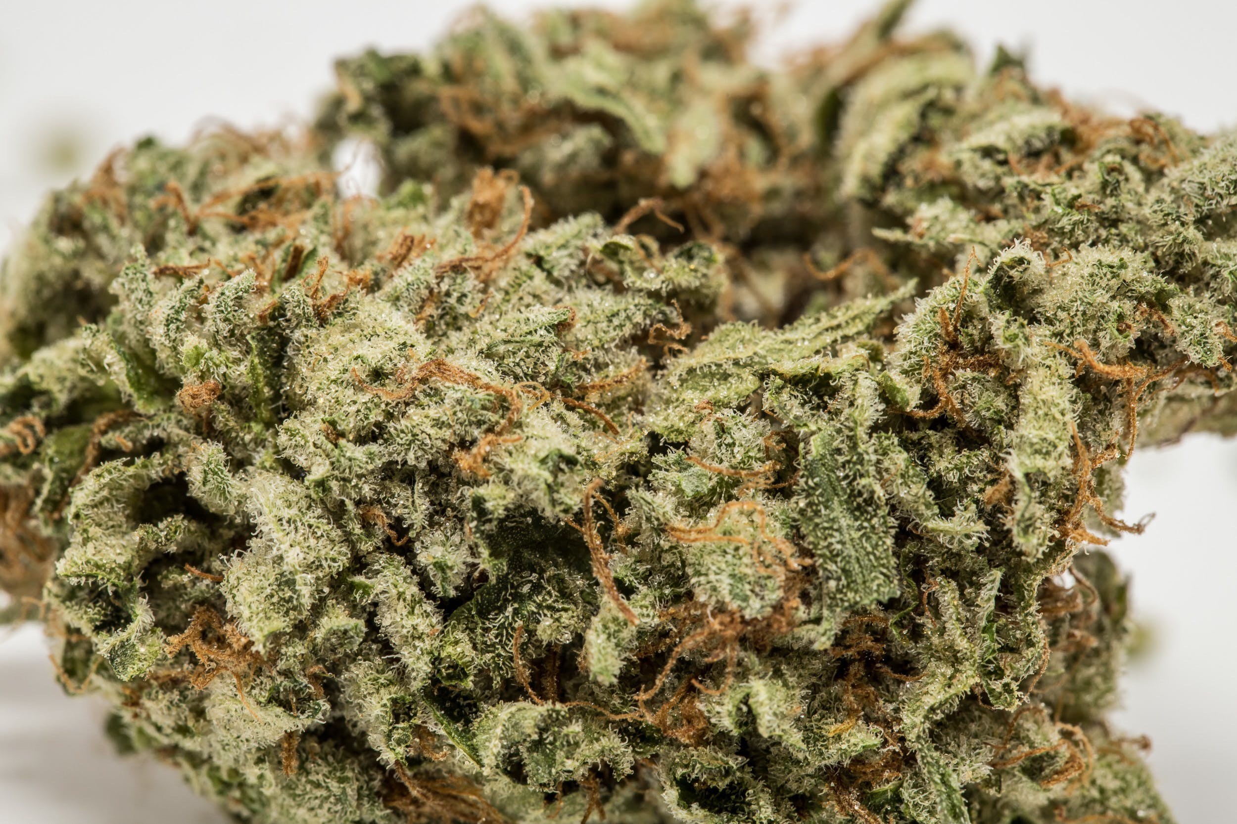 marijuana-dispensaries-25vic-in-van-nuys-skywalker-5g-for-2445
