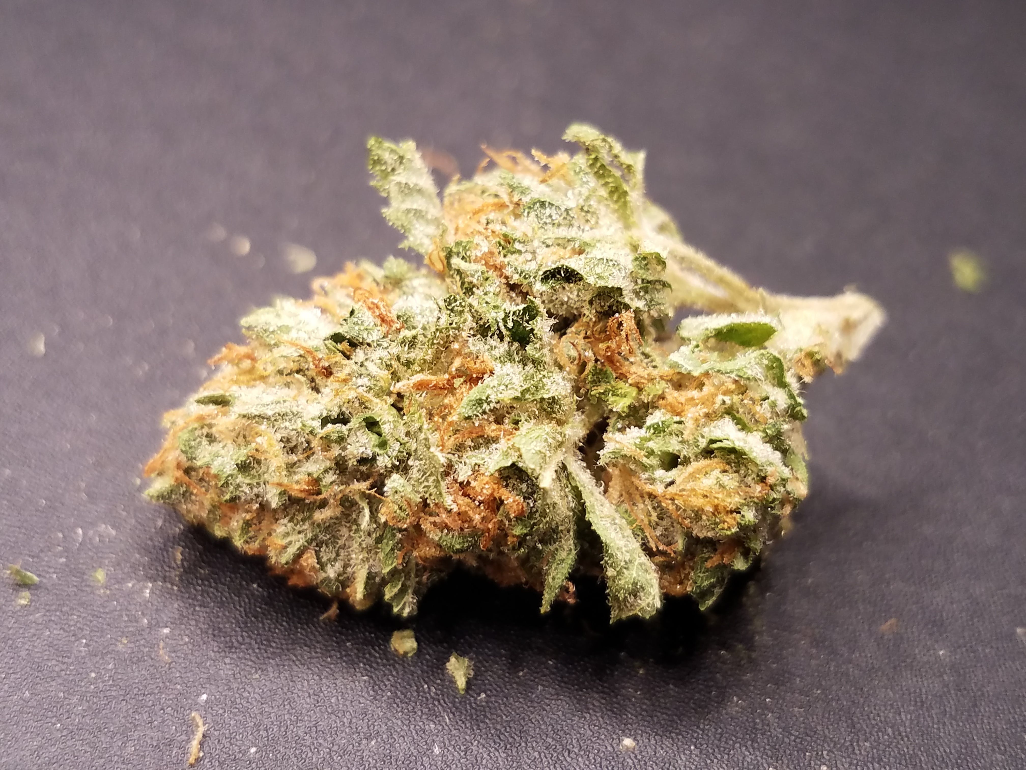 marijuana-dispensaries-herban-underground-recreational-in-denver-skywalker-medical