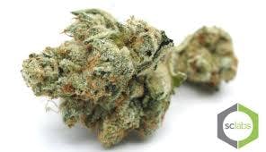 marijuana-dispensaries-261-s-arrowhead-ave-san-bernardino-skywalker-og-5g-40-2445
